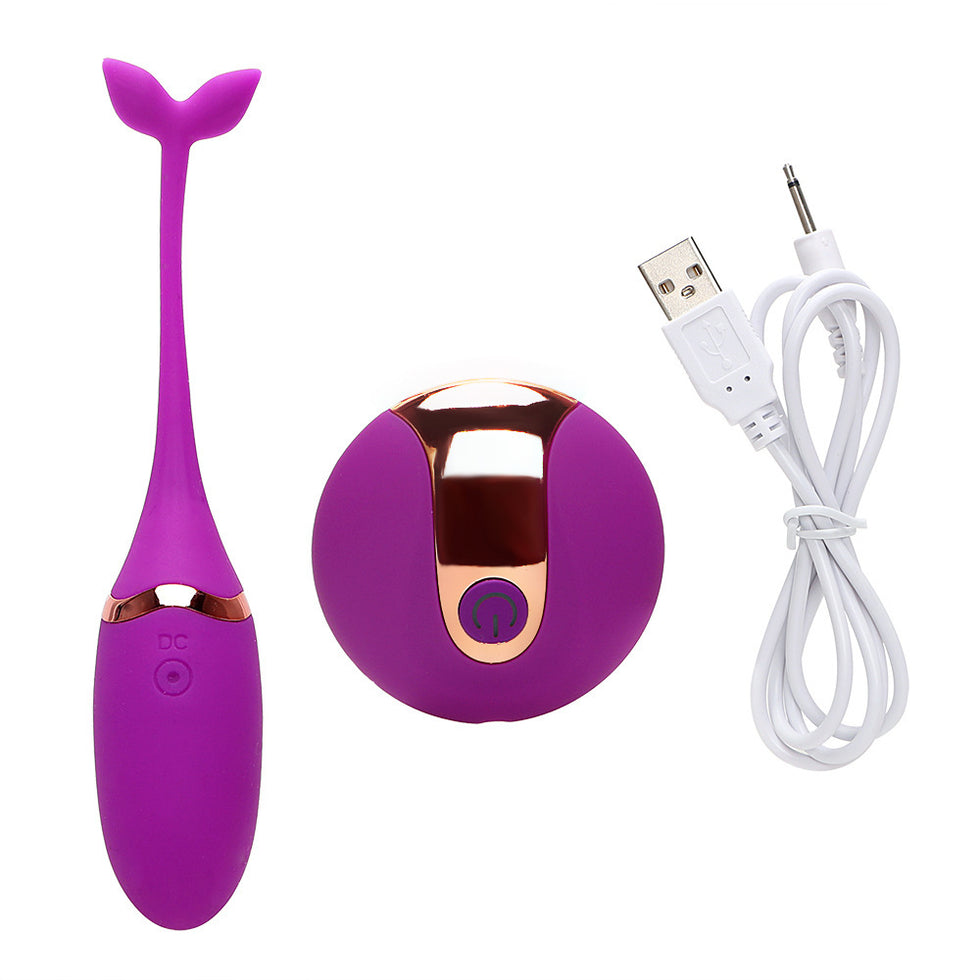 Trứng rung cá heo điều khiển từ xa Private Massager 10 chế độ - Ảnh 4