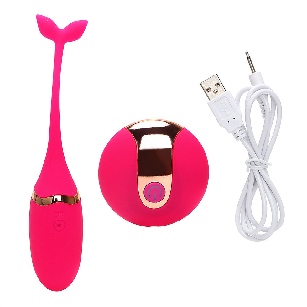 Trứng rung cá heo điều khiển từ xa Private Massager 10 chế độ - Ảnh 6